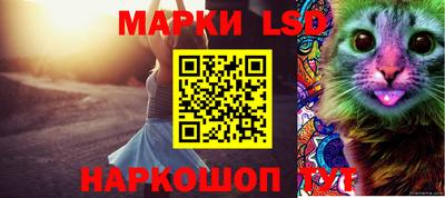 дурь Кимры
