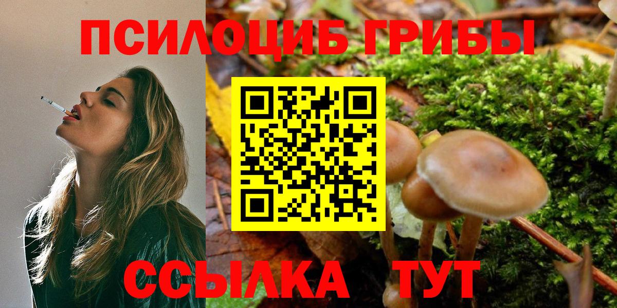 Галлюциногенные грибы GOLDEN TEACHER  Вход с VPN  Галлюциногенные грибы Cubensis  Электрогорск 