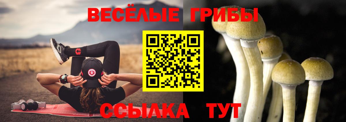 Псилоцибиновые грибы Magic Shrooms Электрогорск
